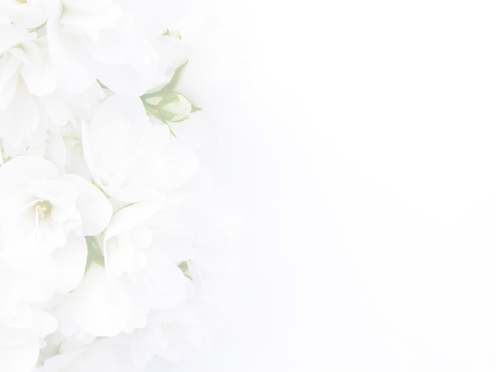 flower-background